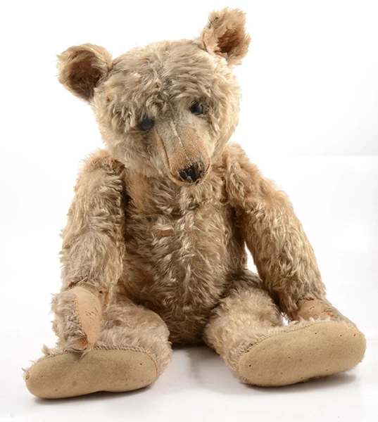 Image direction: close, evidential views of one early bear - face, paw pad, ear/label area and body silhouette - ideally enough detail to invite attribution by construction rather than a decorative portrait.